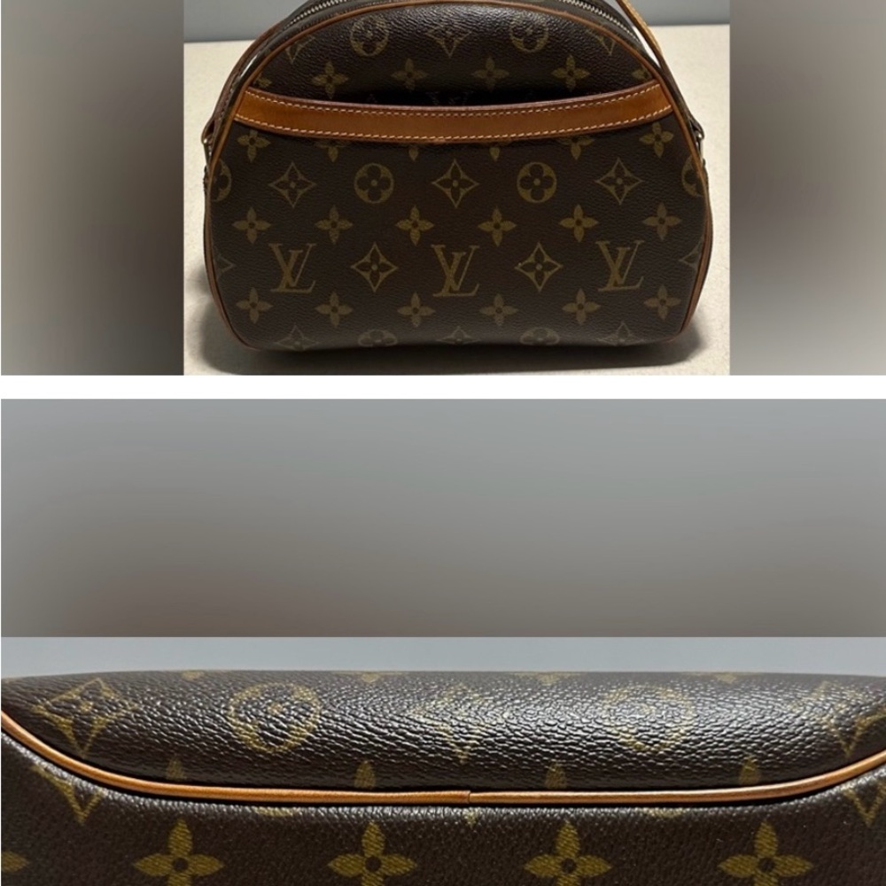 Louis Vuitton Blois Monogram Zipper Pouch